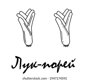 Badge leek with the inscription "leek" in Russian. Vector, eps