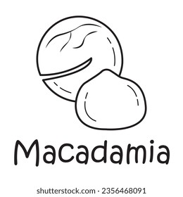 Badge macadamia with the inscription. Vector image, eps