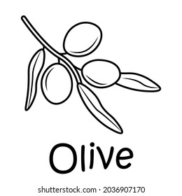 Puse la inscripción en su marca de olivo. Imagen vectorial, eps