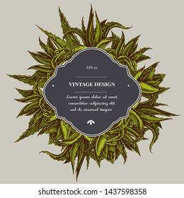 Badge over design with aloe