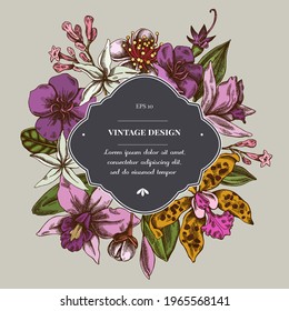 Badge over design with laelia, feijoa flowers, glory bush, papilio torquatus, cinchona, cattleya aclandiae