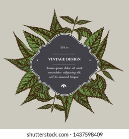 Badge over design with nettle