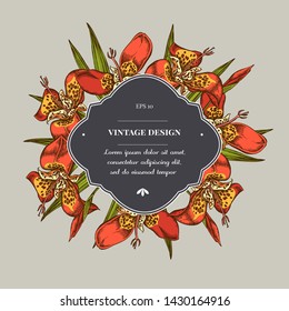Badge over design with tigridia