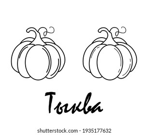 Badge pumpkin with the inscription "pumpkin" in Russian. Vector, eps