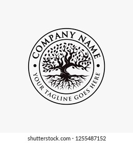 Badge, Seal, emblem vintage tree of life Logo, old oak tree logo, old big tree with the root logo vector on white background