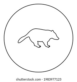 Badger animal wild Meles Taxus predatory mammal family kunihih Carnivore silhouette in circle round black color vector illustration contour outline style image