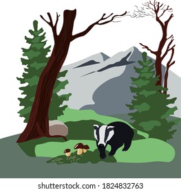 Badger in the autumn forest on the background of mountains vector stock illustration. Fallen leaves, mushrooms, trees, firs. Hills. Beautiful landscape for a postcard. Cute children's background.