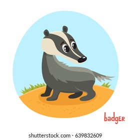 Badger in cartoon style. Vector illustration of wild animal isolated on white background. Cute zoo alphabet, letter B. Illustration used for magazine, poster, card, book, web pages.