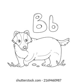 Badger Coloring Book With English Big And Small Letters B. Children Coloring Pages Alphabet. Vector Outline Illustration With An Animal.