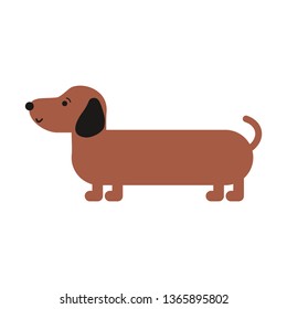 Badger dog. Wiener dog. Sausage dog.
Illustration of cute brown dog.