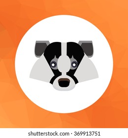 Badger flat icon