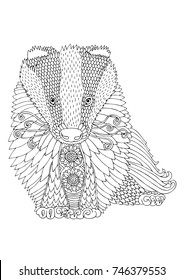 Badger in front view. Hand drawn picture. Sketch for anti-stress adult coloring book in zentangle style. Vector illustration for coloring page, isolated on background. Template for poster or t-shirt.