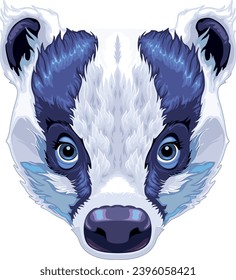 Badger-Frontalansicht, Vektorgrafik-Einzeltier
