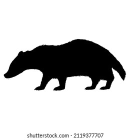 Badger Isolated Wild Animal Black Silhouette Illustration