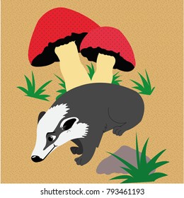 Badger with mushrooms