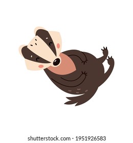 Badger on a white background. Forest animal. Vector illustration of Brock mammal species.