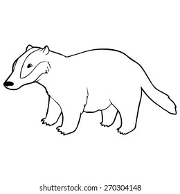 Badger outline illustration