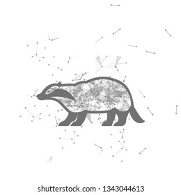 badger.  Polygonal wireframe badger silhouette. low poly vector illustrations on background of points and lines.