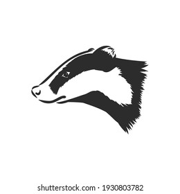 Badger sketch drawing isolated on white background