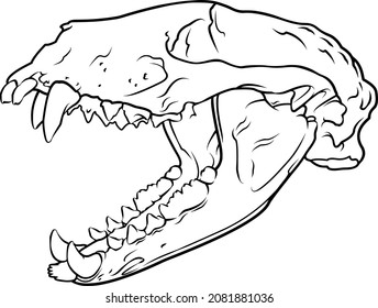 Badger skull. Flat drawing style, template for tattoo or logo.