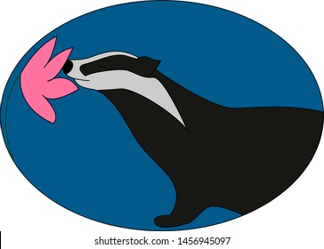 Badger smelling flower, illustration, vector on white background.