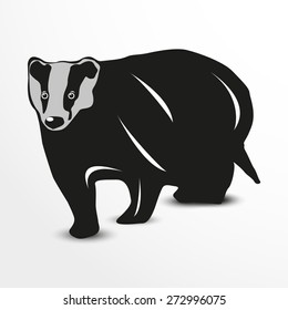 Badger. Vector illustration. Animal collection.