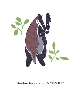 Badger vector illustration. Hand drawn cute Meles meles standing with leaves.