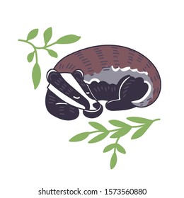 Badger vector illustration. Hand drawn cute Meles meles sleeping with leaves.