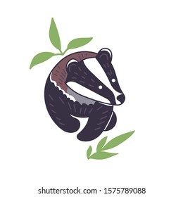 Badger vector illustration. Hand drawn cute Meles meles walking with leaves.