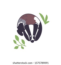 Badger vector illustration. Hand drawn cute Meles meles standing with leaves.