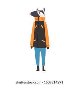 Badger Wearing Warm Winter Clothes, Male Humanized Forest Animal Cartoon Character Vector illustration