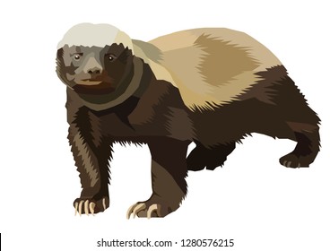 badgerlike honey badger brock
vector bee eater ratel