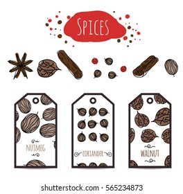 badges backgrounds, hand drawn spices. Vector