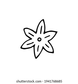 Badian. Spice. Vector. Doodle. Hand-drawn illustration.	 Black and white outline. Silhouette. Coloring.