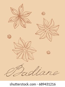 Badiane with black pepper isolated