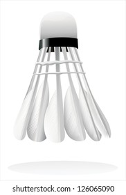 Badminton isolated on a white background