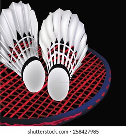 Badminton vector