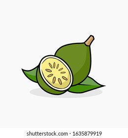Bael fruit vector illustration isolated for all purpose