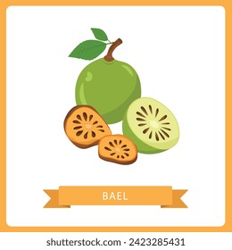 Bael fruit or wood apple whole and sliced vector illustration isolated on white background.