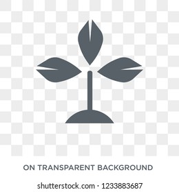 Bael tree icon. Trendy flat vector Bael tree icon on transparent background from india collection. 