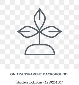 Bael tree icon. Trendy flat vector Bael tree icon on transparent background from india collection. High quality filled Bael tree symbol use for web and mobile