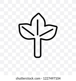 Bael tree vector linear icon isolated on transparent background, Bael tree transparency concept can be used for web and mobile