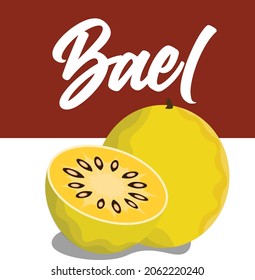 ilustración vectorial de baúl con sección , hermoso diseño de fondo cuadrado