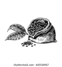 A bag of cocoa beans, or coffee. Broken fruit. Leaves of cocoa tree.