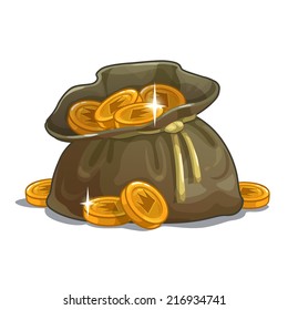 Bag with coins, cartoon illustration on the white background