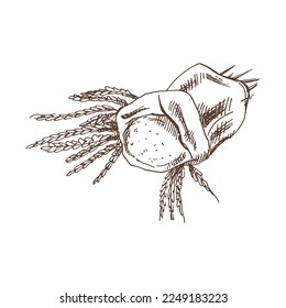 Bag with flour and spikelets of wheat sketch drawing. Vector hand drawn bakery Illustration. Detailed retro style images. Vintage sketch for labels. 