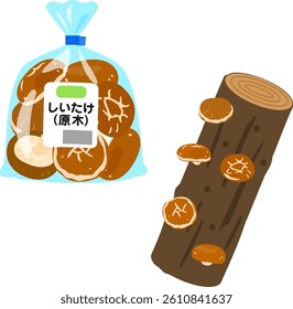 Bag of fresh log grown shiitake mushrooms