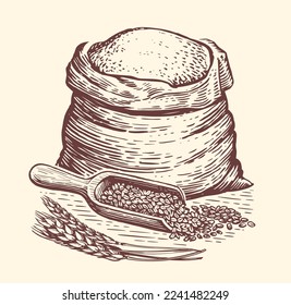 Bag full of flour, wooden scoop with grains and ears of wheat. Healthy organic natural farm food. Vintage sketch vector