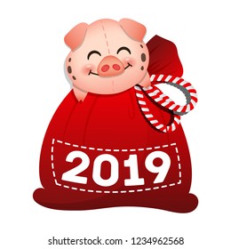 a bag with gifts, the year of the pig 2019