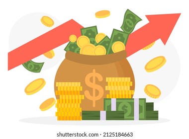 Bag with money. Increasing income, graphs and earnings. Investing and financial literacy. Successful entrepreneur, company growth. Coins and bank notes, profit. Cartoon flat vector illustration